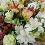 今週のお花です。